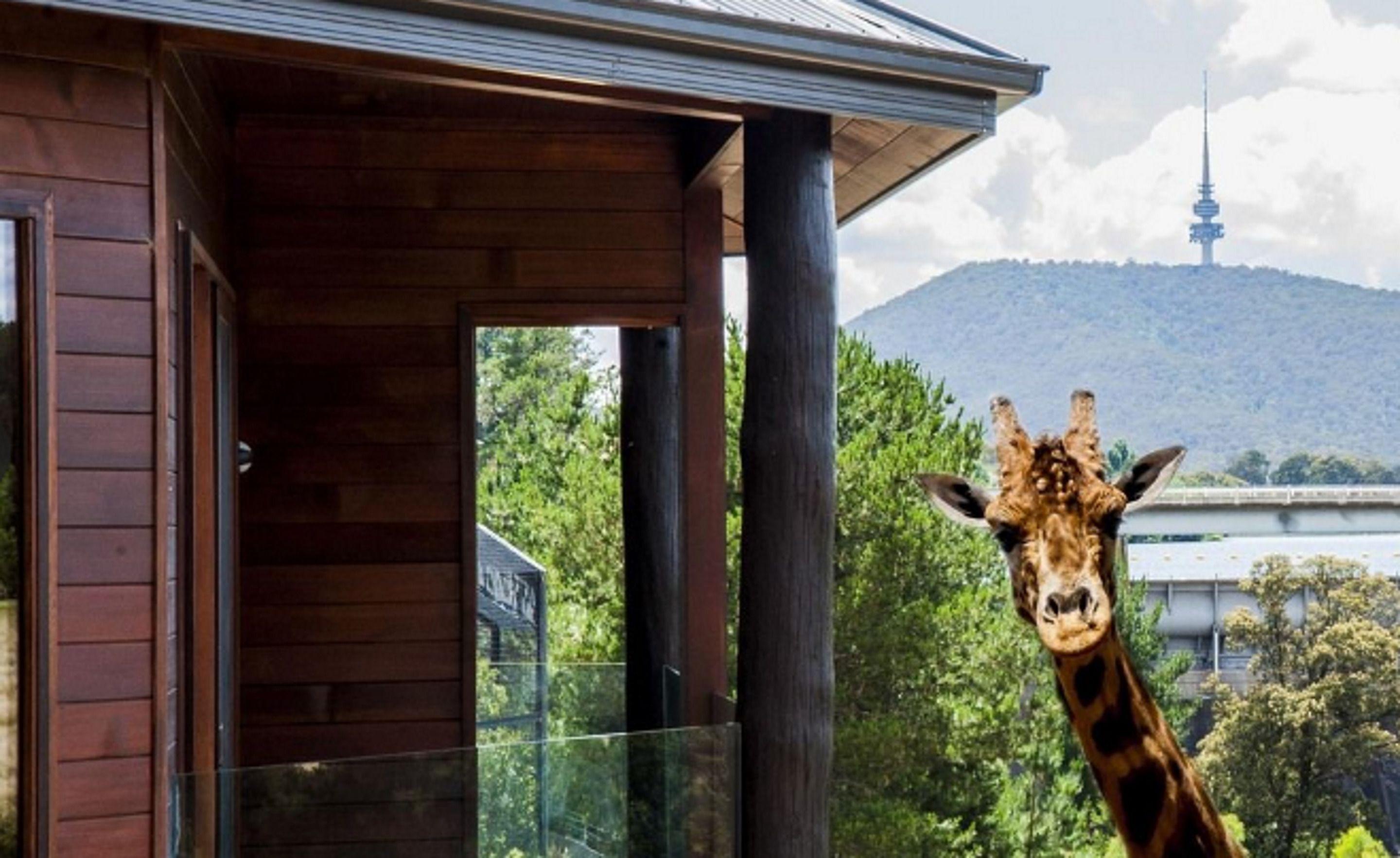 ジャマラ ワイルドライフ ロッジキャンベラ, ACT