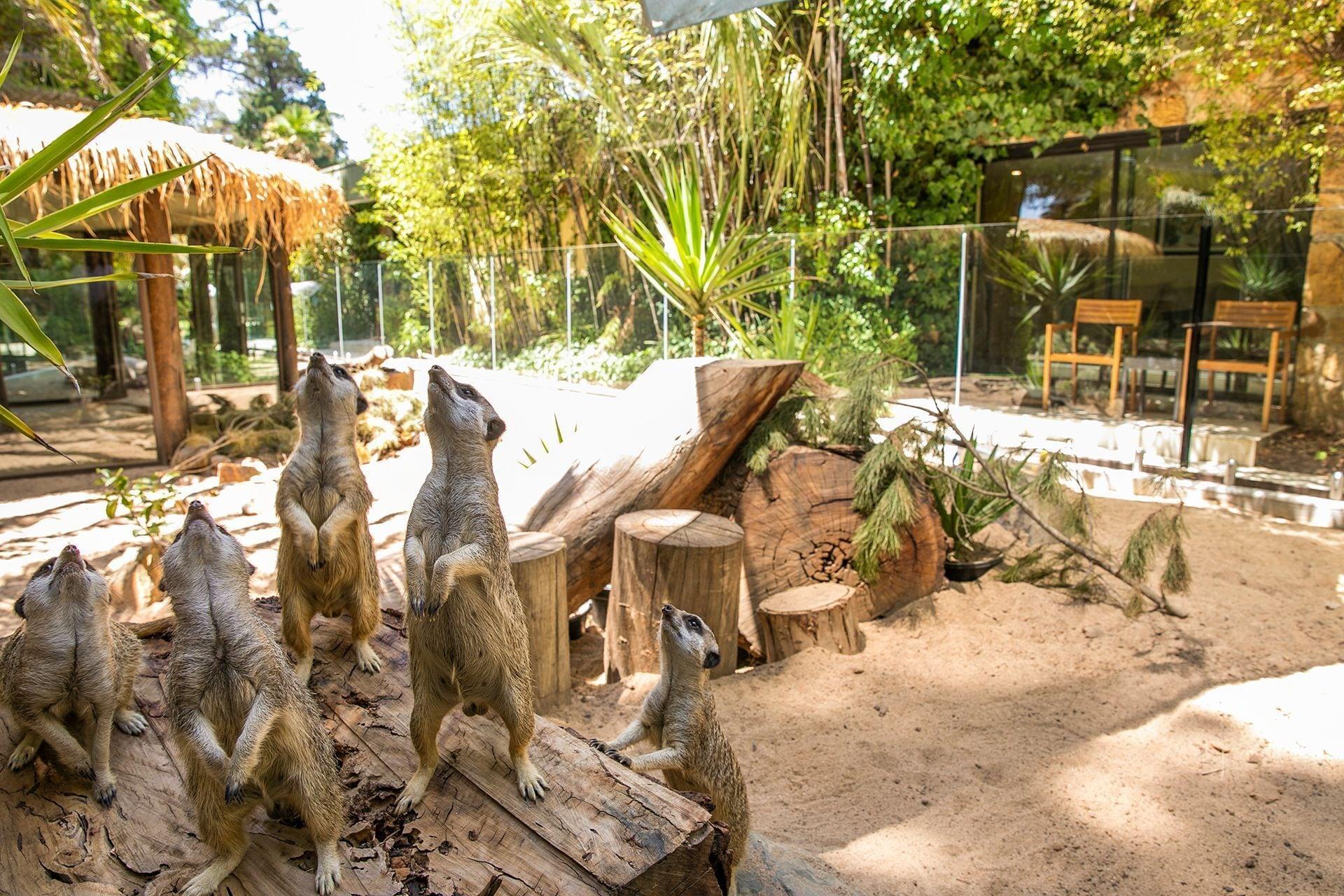 ジャマラ ワイルドライフ ロッジキャンベラ, ACT